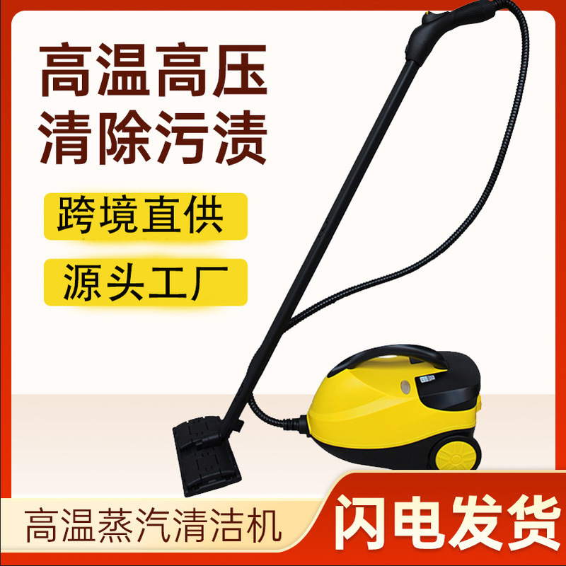 High temperature steam machine cleaning fumigation machine high pressure cleaning machine household formaldehyde kitchen appliances car clothes color change 110V