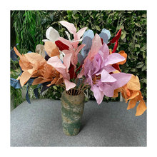 ��������ֲ��9Ƭ�������~�b[���辰����ɻ������b��Ĕz����