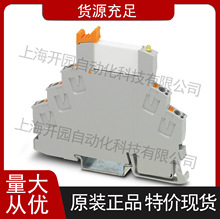 �����˹�̵���ģ�� - RIF-0-RPT-24DC/ 1 2903361�̵����繤����
