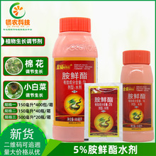���|ֲ����5%���r�� �޻�С�ײ˱���������ɫ��ɫ���a���L�{����