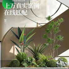 ����ֲ���쾰���R�����B���ԼپGֲ���^������������辰