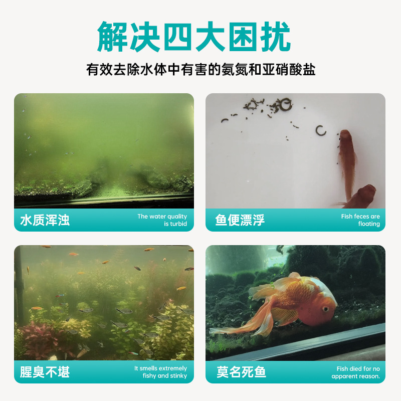 硝化細菌水槽浄水剤消化細菌硝化生菌非魚薬養魚用品浄化水質安定|undefined