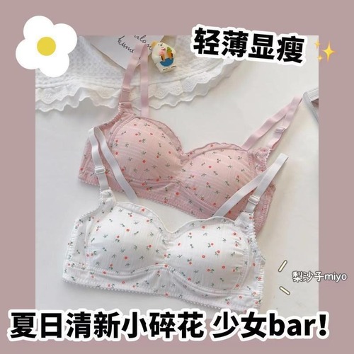 Factory Direct Sale - Wholesale Export Undergarments Made in China - Teenage Girl Bra for Students - Fragmented