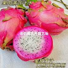 ��Ʒ�N�Է��pɫ���������m�����Կڸ��������������ζ�������t