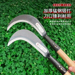 �i�砵�呴��h������砵��r�õ������l���䵶�����_�λ���砵�
