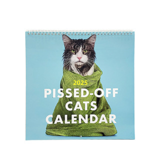 Cross-border New Explosions Calendar 2025 Pissed-Off Cats Calendar Angry Cat Calendar