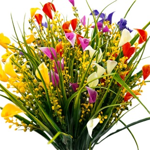 ���R�d���N��洺���R��ɏ���Ϸ��滨�����Ƶ��c�Ҿ��b��@