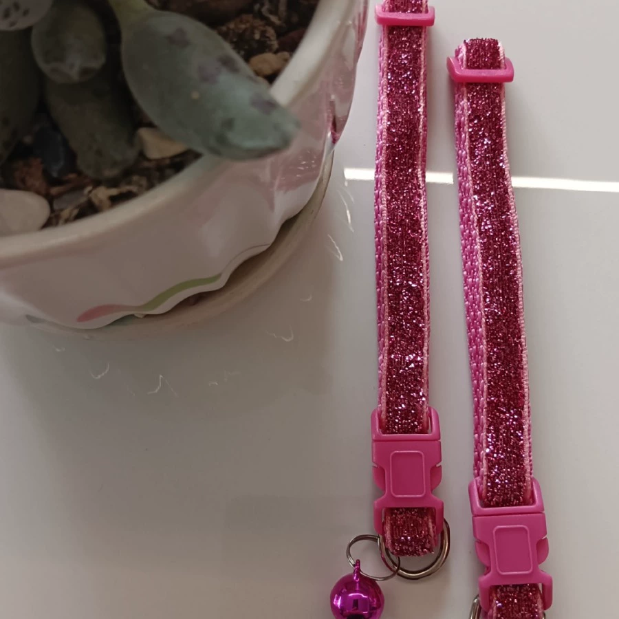 1,0 Золотая проволока патч собака кошка трансграничный ошейник для домашних животных