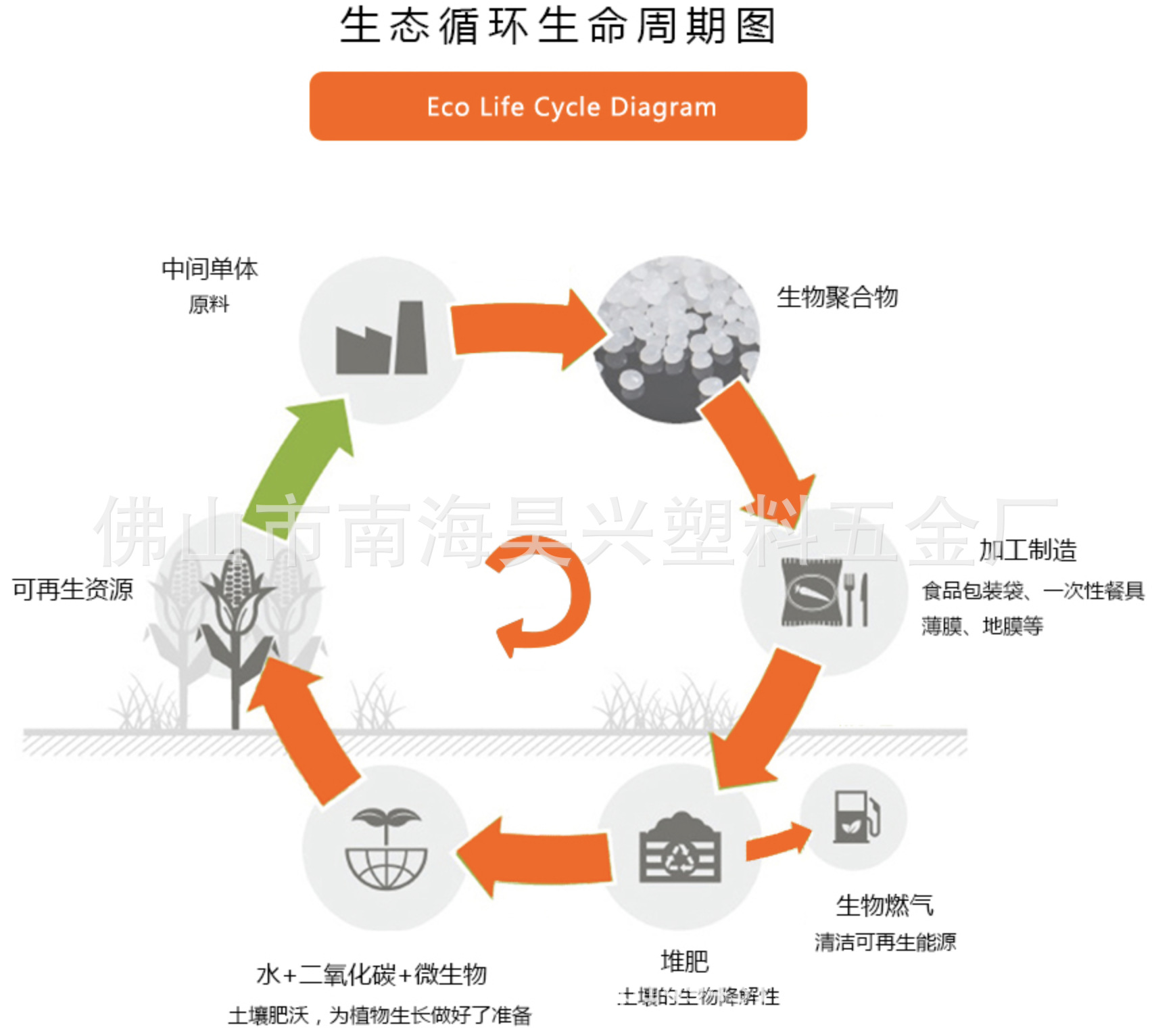 生命周期图