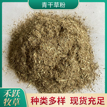 青草粉兔料饲料原料牛马羊饲料  饲料厂用青干草草粉植物性饲料