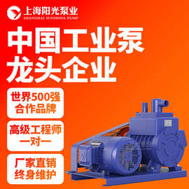 2X型双级旋片式系列真空泵气体传输泵厂家直销现货供应阳光泵业