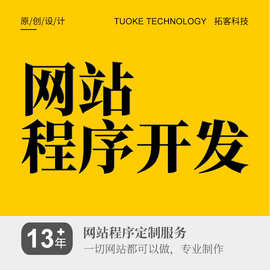 网站程序开发制作企业 做品牌官网制作设计 外贸英文网站建设公司