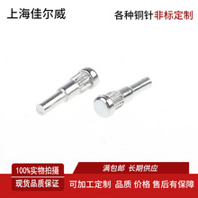 �����ǘ��T� ��A�^�T��F�T� ������TᔏS��