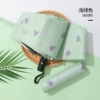 [306自动-果绿郁金香]
