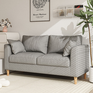 Sofa for Small Apartments, Simple Modern Style, Suitable for Rental Housing, Living Room, Bedroom, Trendy Fabric Double Sofa Wholesale