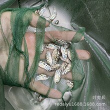�Ϻ����l�y������~���鱪�����������޶����Ꭷ�^�p�~���ֺ��B