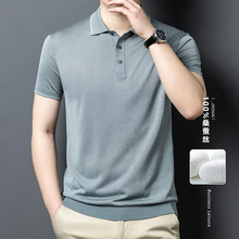 ��zɣ�Q�z����t���з��I�ļ��ߙn���b�����̄�polo�I�����w����