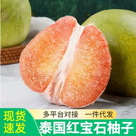 块茎类;其他水果;苹果