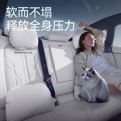 Headrest Accessories