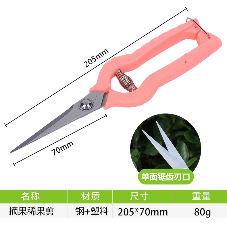 Huerto de fruta recoger cortadora de fruta recoger cortadora de frutas delgadas cortadora de verduras cortadora de frutas cortadora de uva cortadora de frutas cortadora de jardinería herramienta de poda