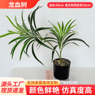 �羳�¿������Ѫ��Gֲ�҃��쾰��c�b�ֲ��廨�[����ˇ���l