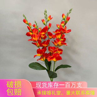 �Ҿӷ����֧���m�͏d�͏d��ػ�ˇ�b[�O�Ї��L����ɻ����l
