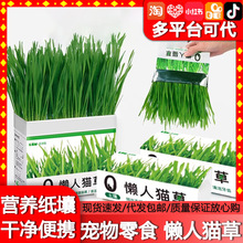猫草冬天盆栽化毛球片懒人种籽种去毛球冻干粒猫零食猫咪宠物用品