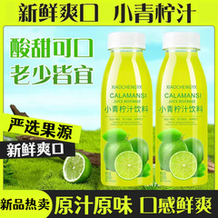 リトルライムジュース 300ml ボトル入りポータブルレモネードレモンフルーティーライムアイスドリンクは、夏の暑さと喉の渇きを和らげる夏のドリンクです