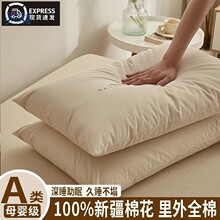 Zwh全棉新疆棉花枕头枕芯护颈椎助睡眠家用一对装成人纯棉枕头不