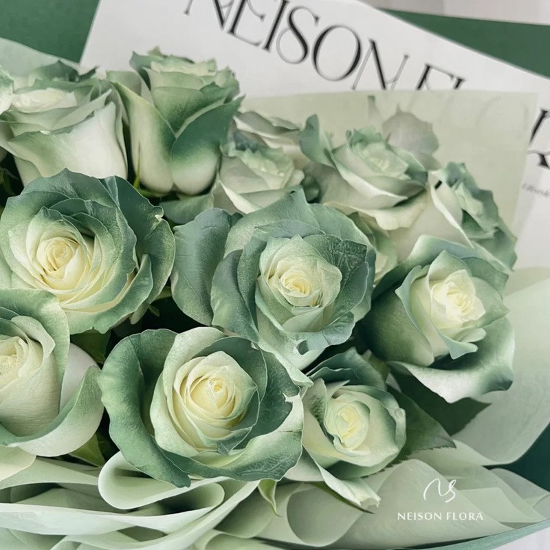 Internet celebridad ciruela negro rosa púrpura flores autopintadas agente de pulverización de color tinte floral spray colorante