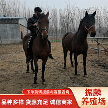 �T�˰��R �������R �����R �ɹ��R С���R�����u�� �����X