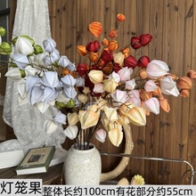 ������\����ĭ����Y���û��ļҾ��b[�ŔzӰ�����b�ˇ