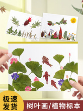 ~ճNֹϰ׃@ͯɻֲ˱Ʒ