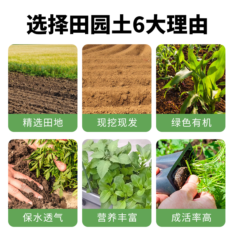 Pastoral soil