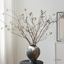 С׹Ȼ֦ɻ֦Lƿ廨b滨