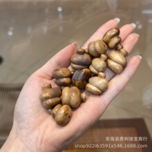 ¹�Ǹ����S�����f���JDIY��������ִ���朾��K�������S��ֱ�N