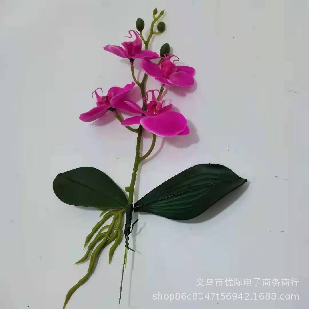 0c1c260ac038127dfef214f186c4fd