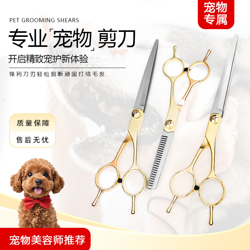 宠物狗狗剪刀剪毛工具专用修毛套装剪狗毛弯剪子泰迪剪毛神器