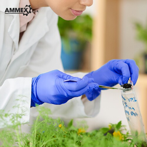 Emmas 50 disposable nitrile gloves wholesale rubber catering housework cleaning oil-resistant industrial powder-free and durable