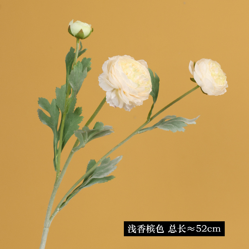 5238 # 라이트 샴페인