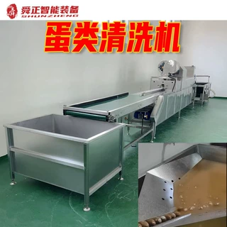 洗蛋机价格 鸡鸭鹅蛋清洗线 全自动单双排洗蛋机 大小型洗蛋线