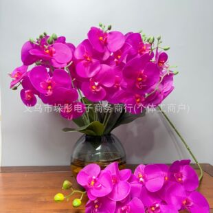 ���滨15�^�^�z�����m���b�ָп羳�ٻ������[�Ž�����ʽ���ܔ[��