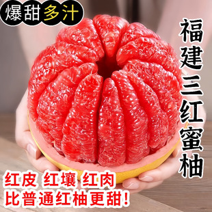 �����t�����Ӽt���������rˮ�������t��gϪ������]�t�������Ї�
