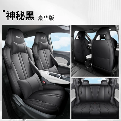 The new special car is Four Seasons Pad - mysterious-black-deluxe-edition-fp-byd-seagull