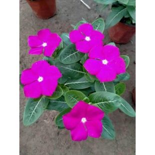 �͸ߜر��������_���մ��L�������������~÷�����҃����ļ��_