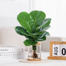 ˮ��ֲ���k���҃��׃��@�������~�������BҬ�Ӭ�����