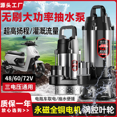 ブラシレス DC 水中ポンプ高揚程ポンプ小型農業灌漑 48V60V72V 電気自動車ポンプ
