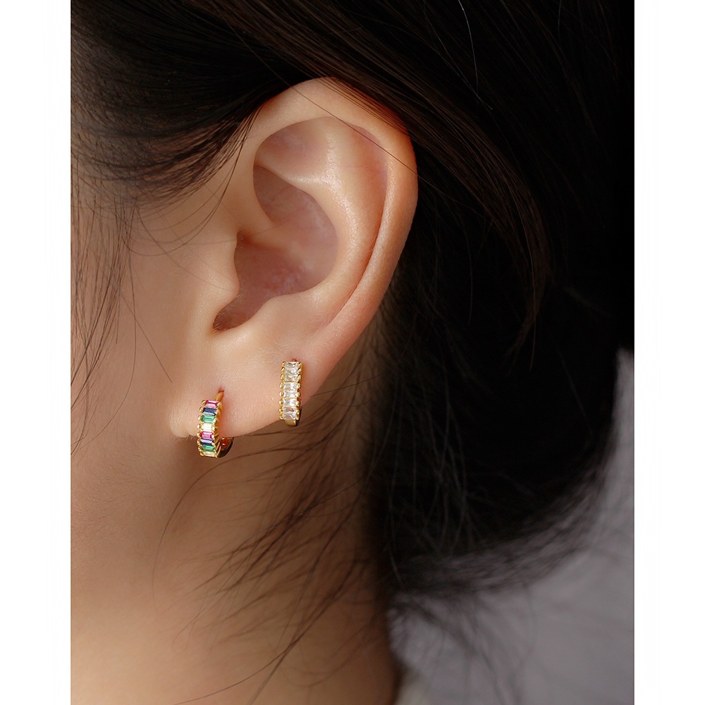 Fashion Geometric Silver Plating Zircon Earrings 1 Pair