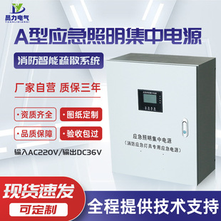 A- type emergency lighting centralized power YL-D Series Multi-specification wall-mounted fire intelligent evacuation control power box