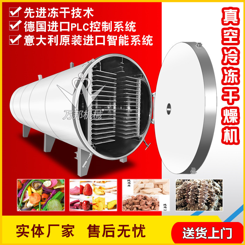 现货低温冷冻干燥设备 大型菠萝蜜冻干机 果蔬脆制作香菇冻干机